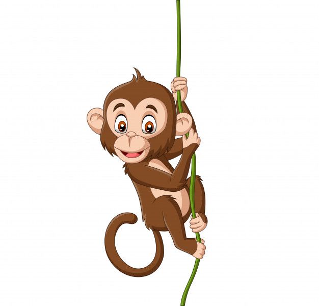 Monkey